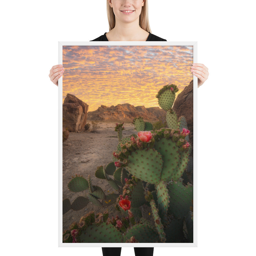 Big Bend Prickly Pear Framed Luster