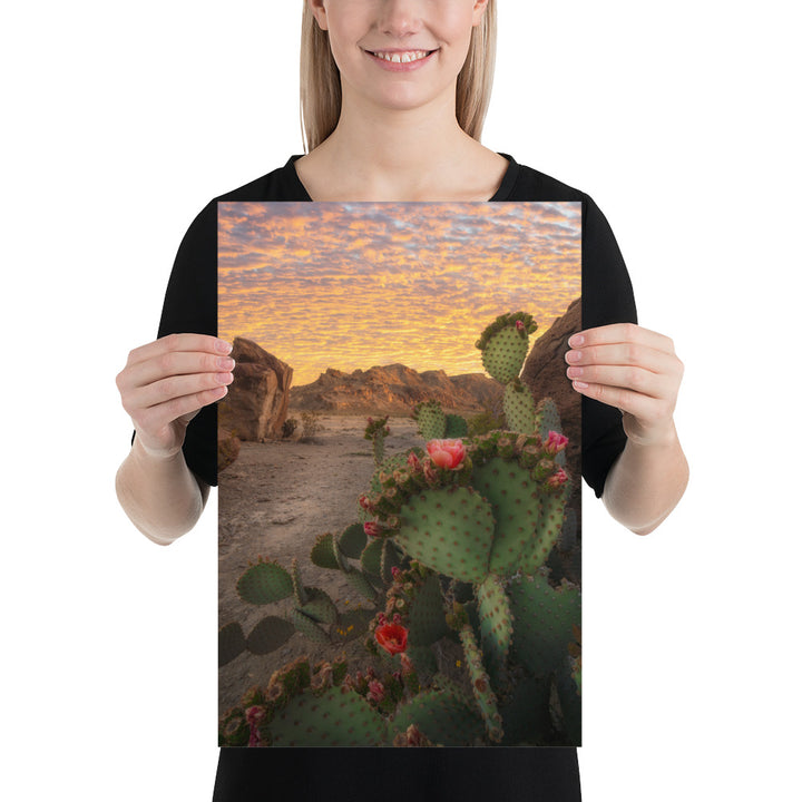 Big Bend Prickly Pear Luster