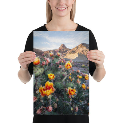 Lajitas Mesa Prickly Pear Luster