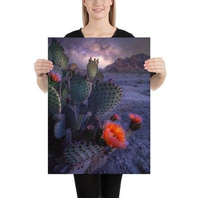 Big Bend Prickly Pear Nightscape Luster