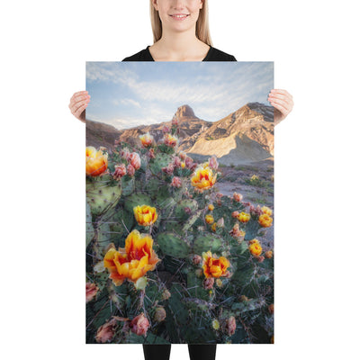 Lajitas Mesa Prickly Pear Luster