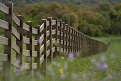 Hill Country Spring Photo Tour - April 3rd and 4th 2022