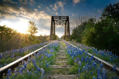 Hill Country Spring Photo Tour - April 3rd and 4th 2022