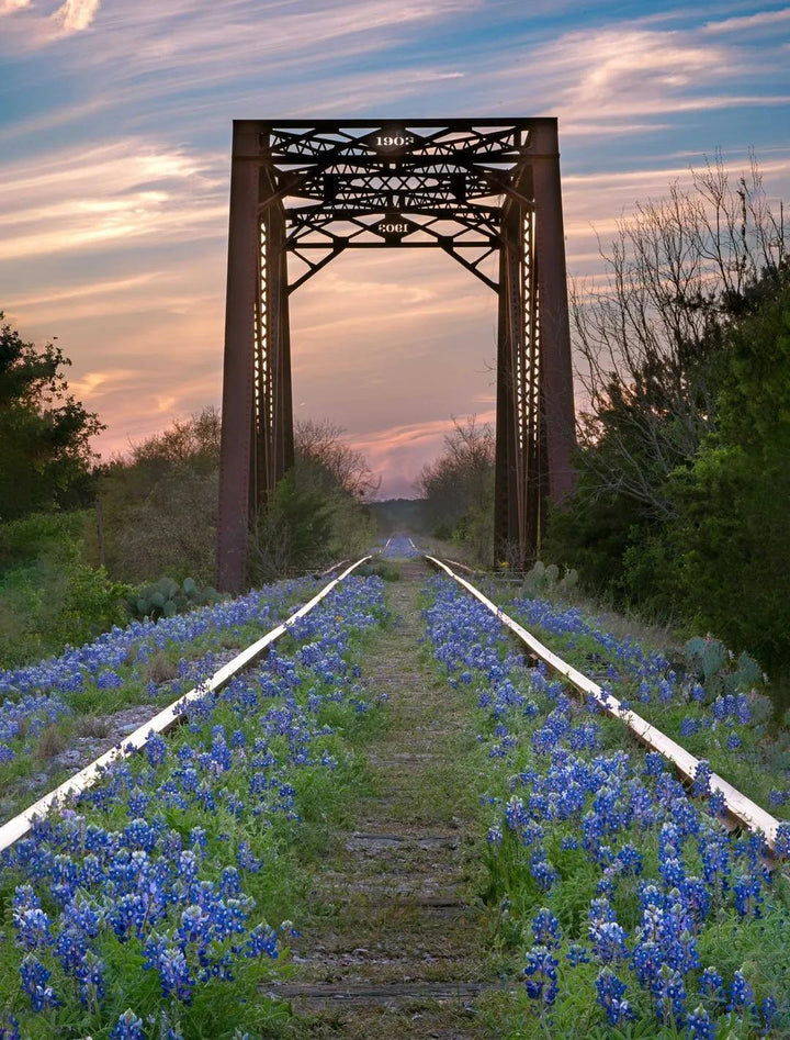 Hill Country Spring Photo Tour - April 3rd and 4th 2022