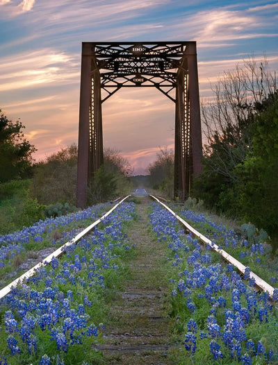 Hill Country Spring Photo Tour - April 3rd and 4th 2022
