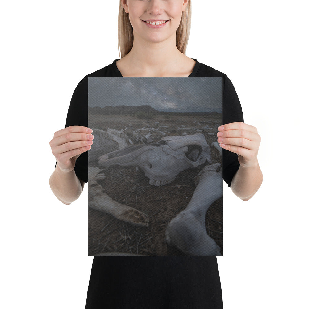 Cattle Graveyard Canvas