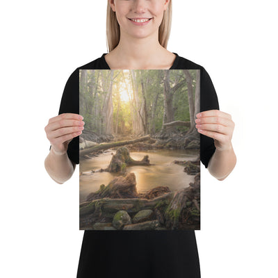 Cibolo Creek Sunset Canvas