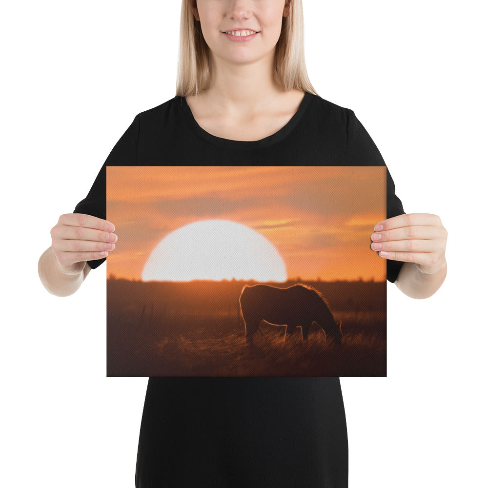 Llano Estacado Horse Canvas