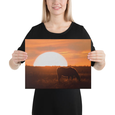 Llano Estacado Horse Canvas