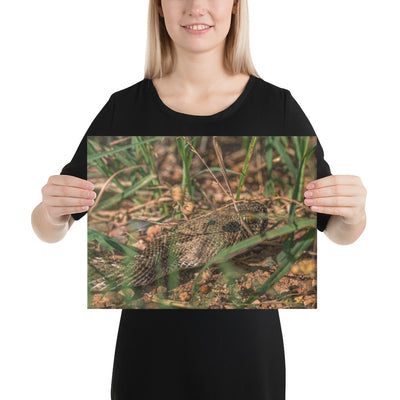 Caprock Canyons Rattlesnake Canvas