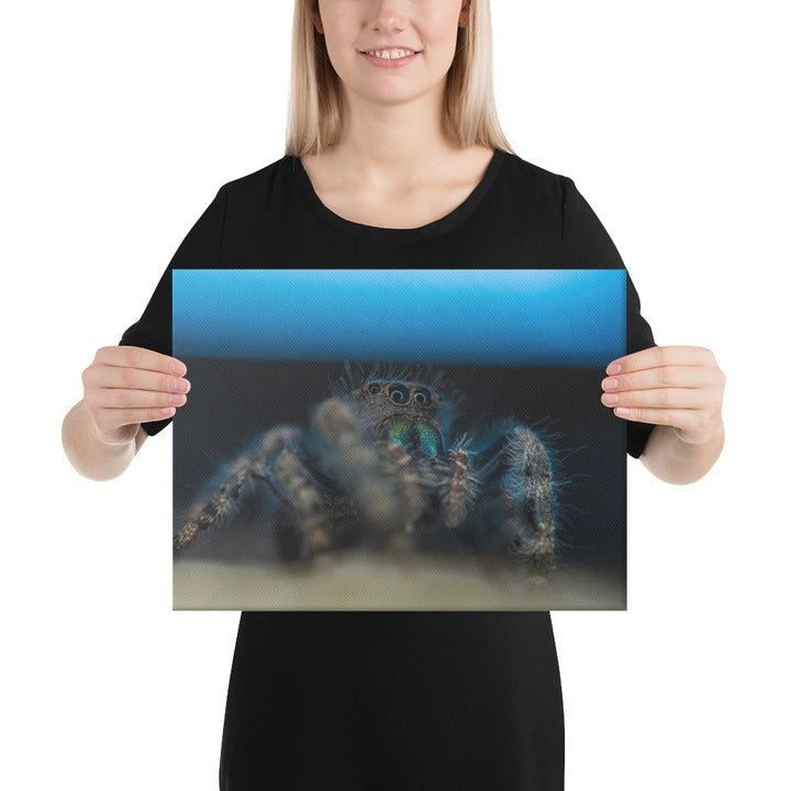 Jumping Spider Canvas