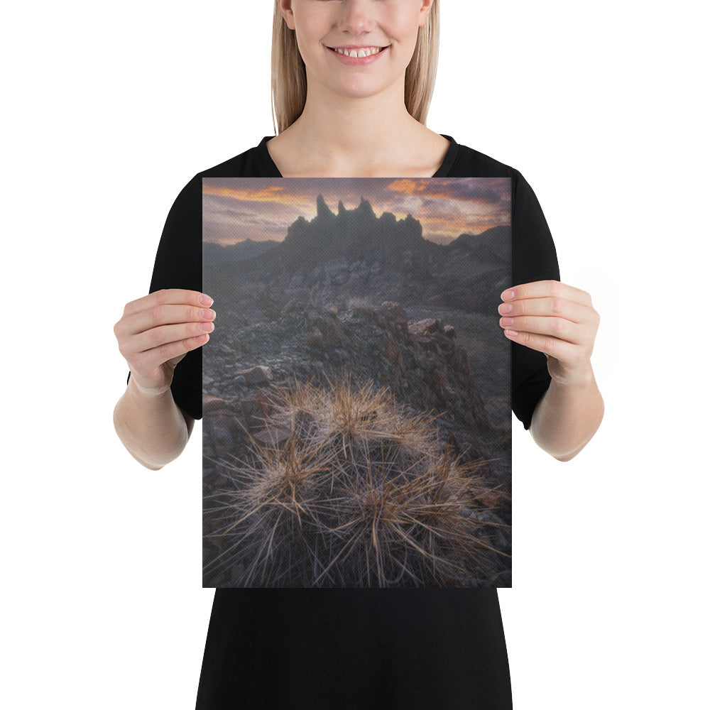 Mule Ears Sunrise Canvas