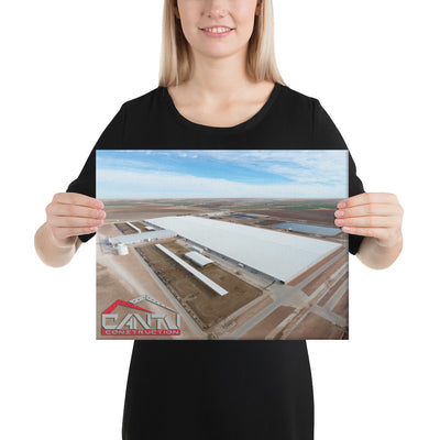 Cantu Construction Canva