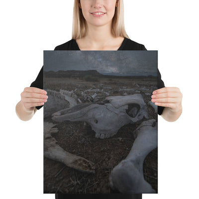 Cattle Graveyard Canvas