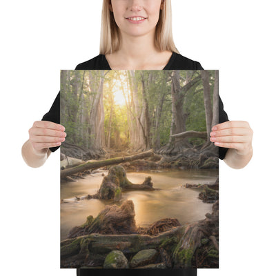 Cibolo Creek Sunset Canvas