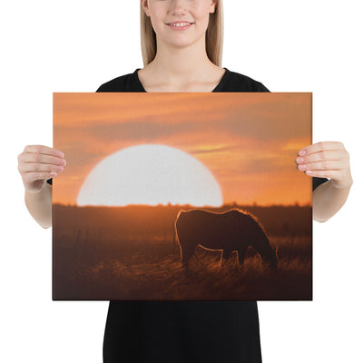 Llano Estacado Horse Canvas