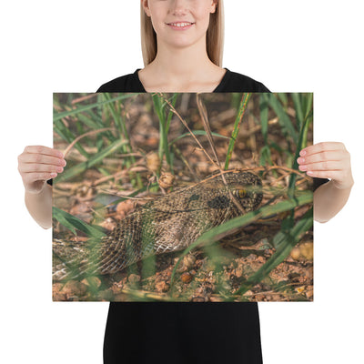 Caprock Canyons Rattlesnake Canvas