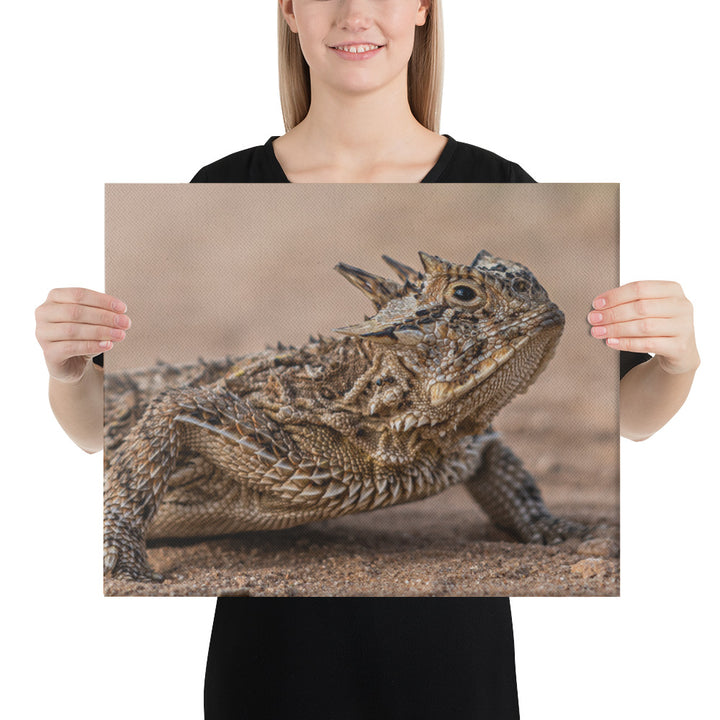 Texas Horned Lizard Canvas