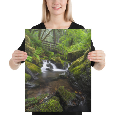 Oregon Fairy Garden Canvas