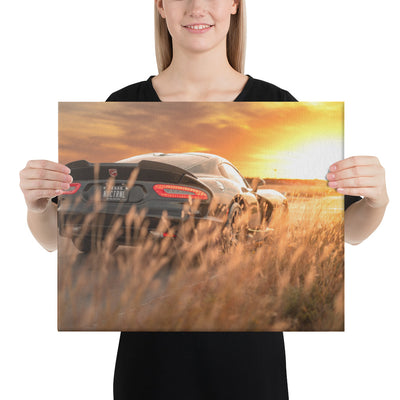 ACR Viper Sunset  Canvas