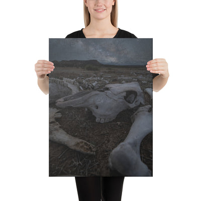 Cattle Graveyard Canvas
