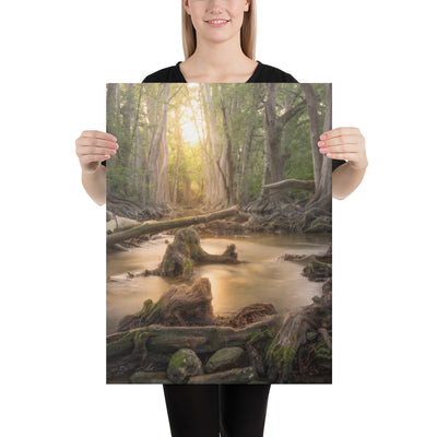 Cibolo Creek Sunset Canvas