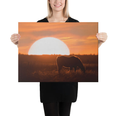 Llano Estacado Horse Canvas