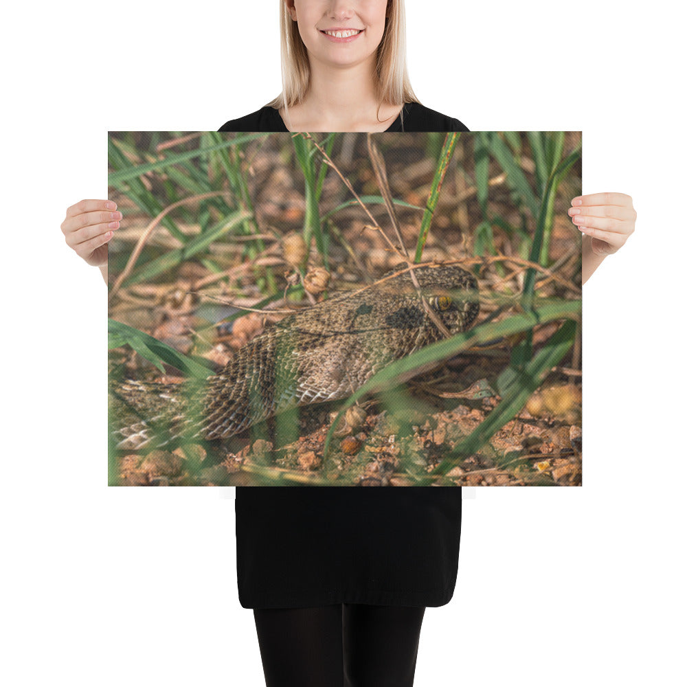 Caprock Canyons Rattlesnake Canvas