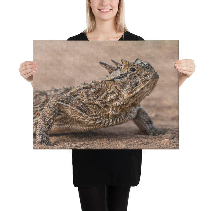 Texas Horned Lizard Canvas