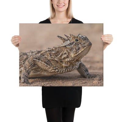Texas Horned Lizard Canvas