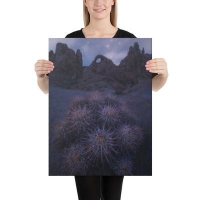Eye of Alabama Hills Canvas