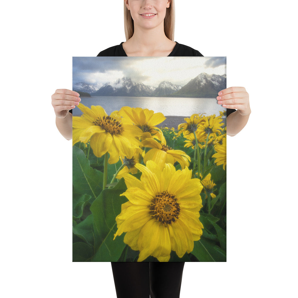 Grand Teton Wildflowers Canvas