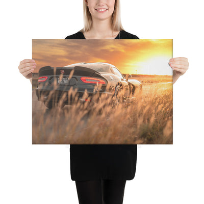 ACR Viper Sunset  Canvas