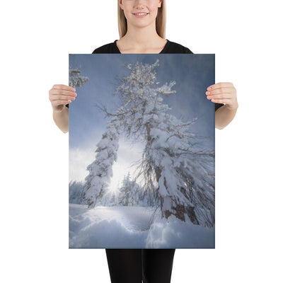 Pagosa Springs Backcountry Canvas