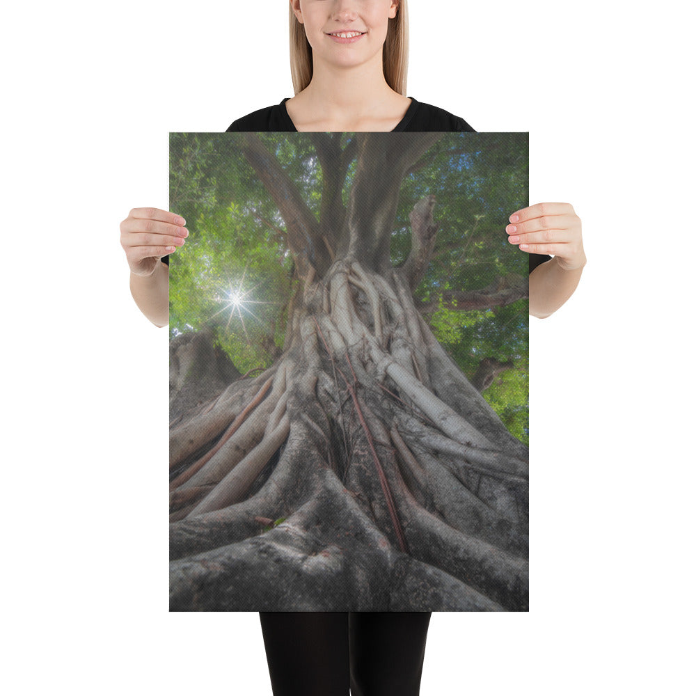 Tree of Hope Canvas