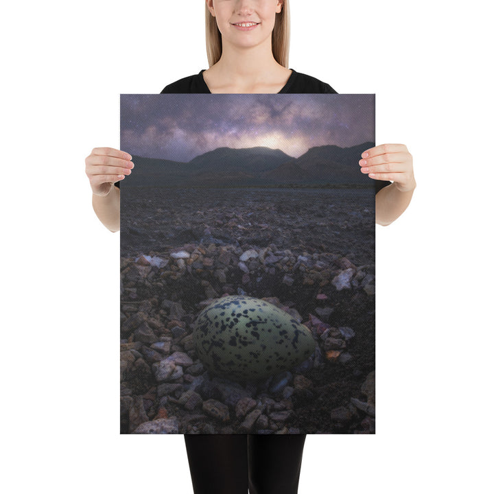 Alvord Avocet Egg Canvas