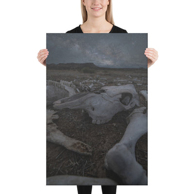 Cattle Graveyard Canvas