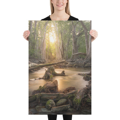 Cibolo Creek Sunset Canvas