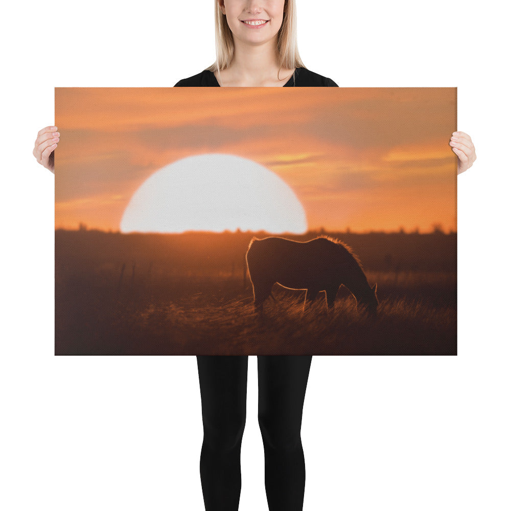 Llano Estacado Horse Canvas