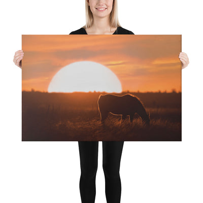 Llano Estacado Horse Canvas