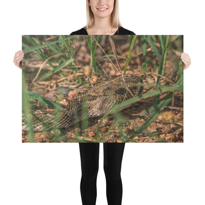Caprock Canyons Rattlesnake Canvas