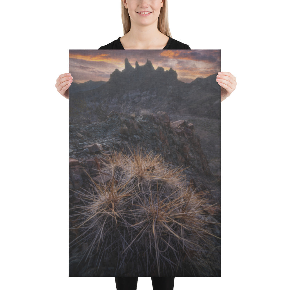 Mule Ears Sunrise Canvas