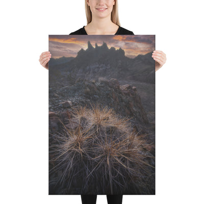 Mule Ears Sunrise Canvas