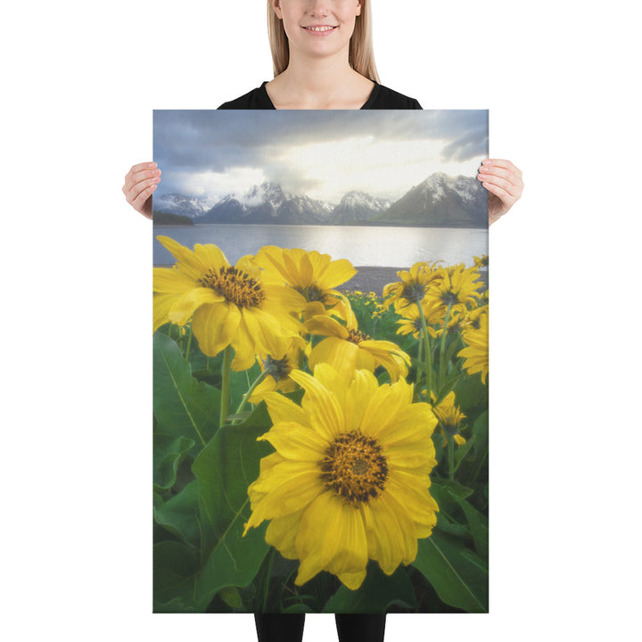 Grand Teton Wildflowers Canvas