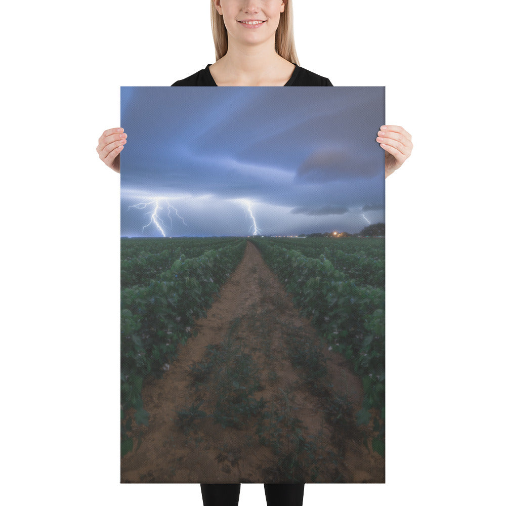 Cottonfield Lighting Storm Canvas