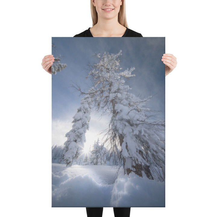 Pagosa Springs Backcountry Canvas