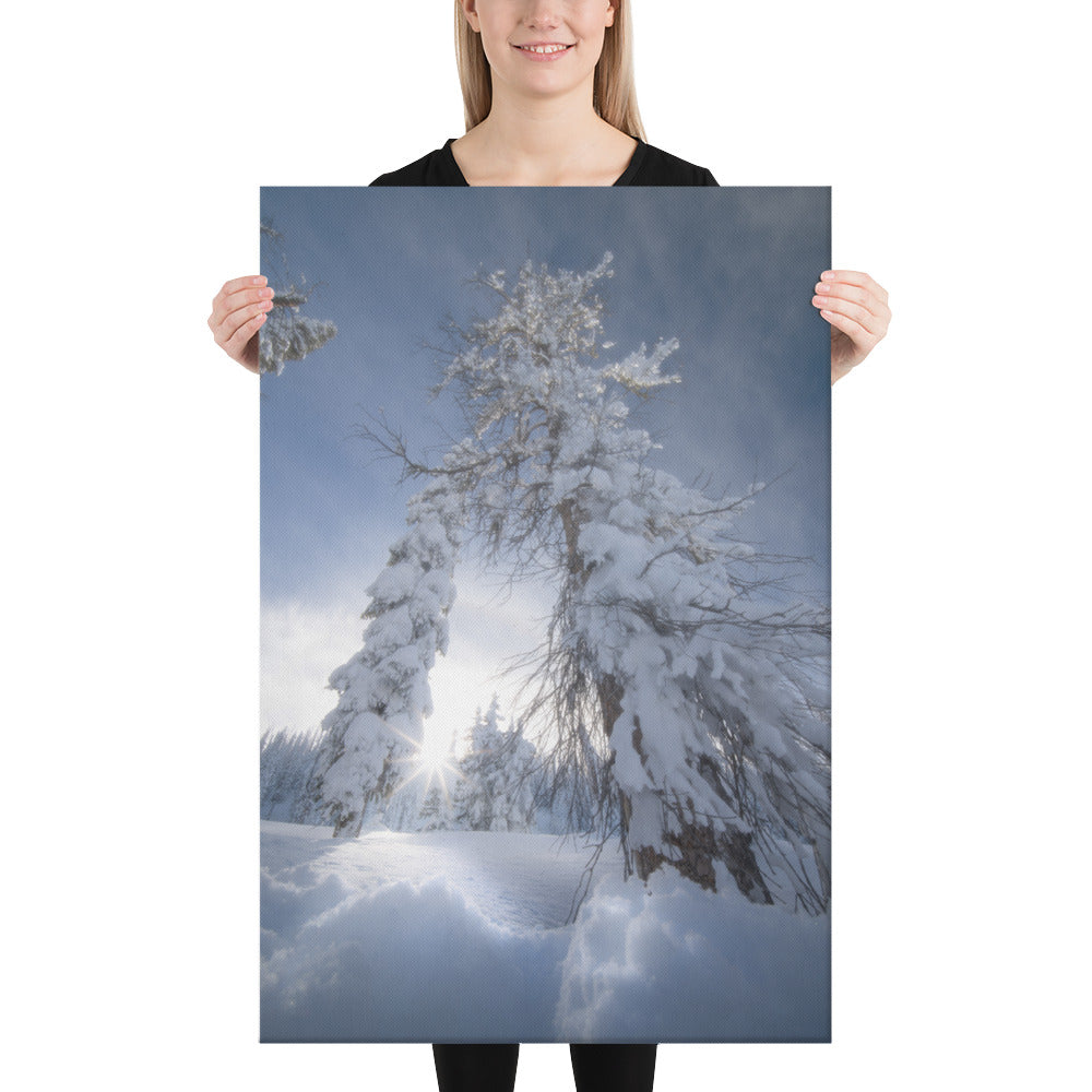 Pagosa Springs Backcountry Canvas