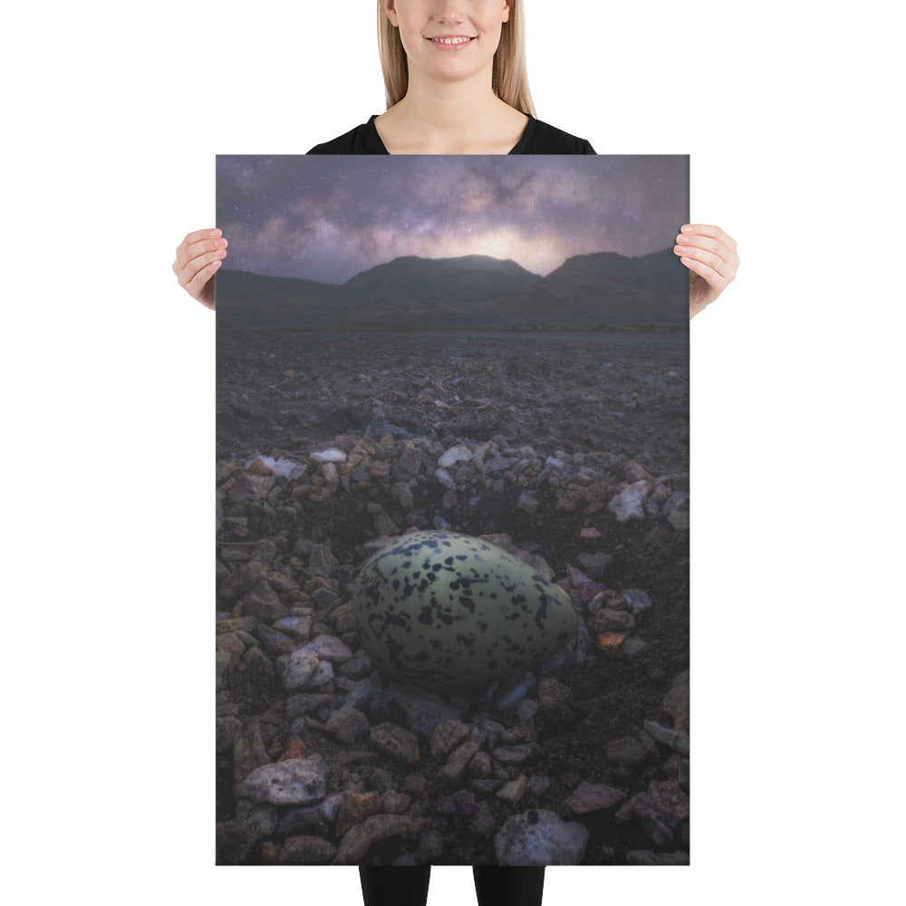 Alvord Avocet Egg Canvas