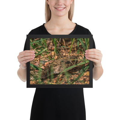Caprock Canyons Rattlesnake Framed Matte