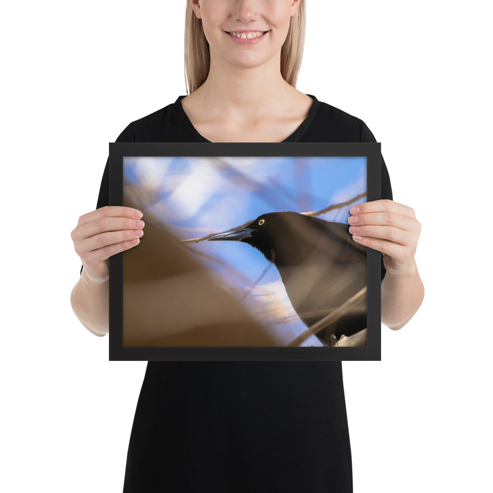 Perched Grackle Framed Matte